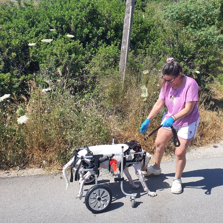 Η Ειρήνη και η Λαρίτσα της από τη Ρόδο: Μια σχέση αγάπης χωρίς όρια