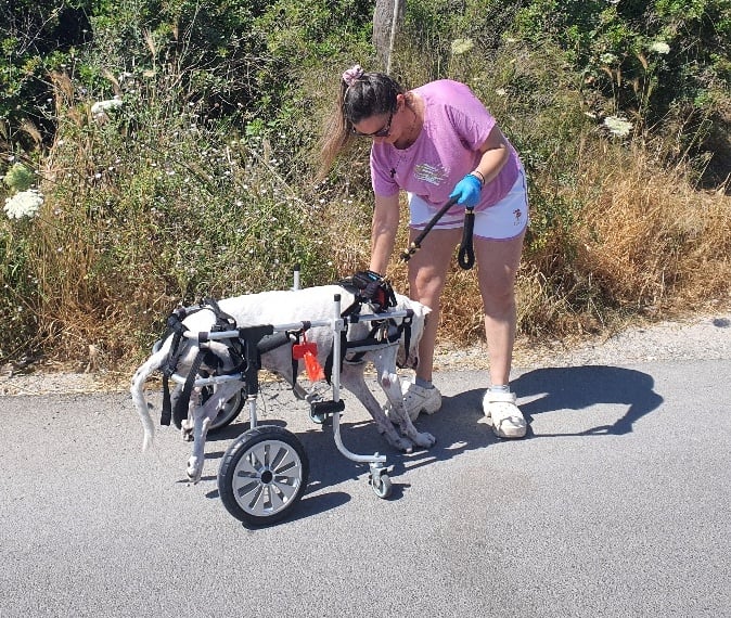 Η Ειρήνη και η Λαρίτσα της από τη Ρόδο: Μια σχέση αγάπης χωρίς όρια