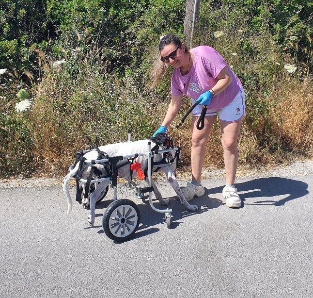 Η Ειρήνη και η Λαρίτσα της από τη Ρόδο: Μια σχέση αγάπης χωρίς όρια
