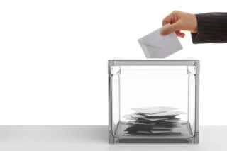 Στοιχεία για την αγορά πολιτικού χυλού