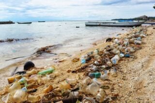 Επείγουσα ανάγκη ο περιορισμός των πλαστικών αποβλήτων – Τα μέτρα που προτείνει η WWF