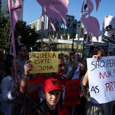 Τα ροζ φλαμίνγκο