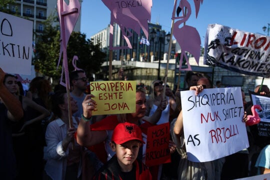 Τα ροζ φλαμίνγκο