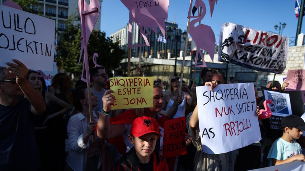 Τα ροζ φλαμίνγκο