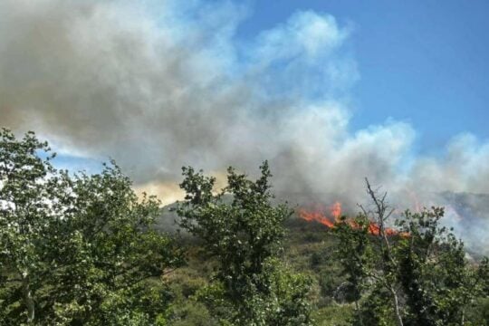 Θεσσαλονίκη: Δίωξη για εμπρησμό από αμέλεια στους τρεις συλληφθέντες για τη φωτιά στο Φίλυρο