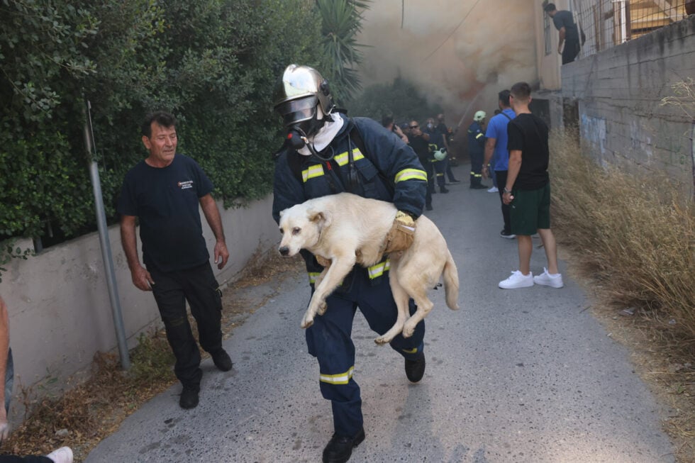 Ηράκλειο Κρήτης: Μεγάλη φωτιά σε αποθήκη ξυλείας – Καίγονται σπίτια, μήνυμα από το 112 [εικόνες – βίντεο]