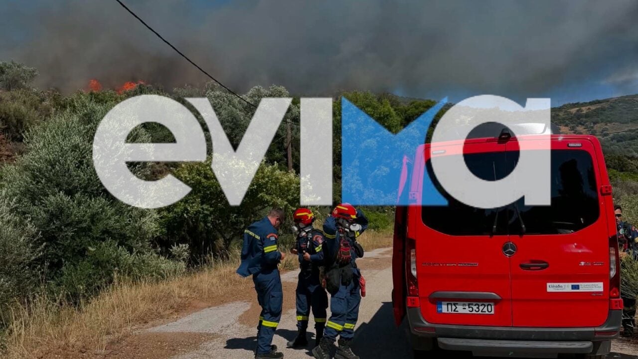 Μεγάλη φωτιά σε δάσος στην Εύβοια – Ήχησε το 112, ισχυρή κινητοποίηση της Πυροσβεστικής