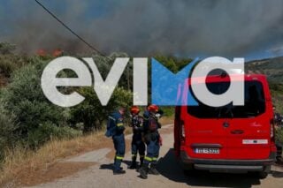 Φωτιά σε δάσος στην Εύβοια – Μεγάλη κινητοποίηση της Πυροσβεστικής, σηκώθηκαν εναέρια μέσα