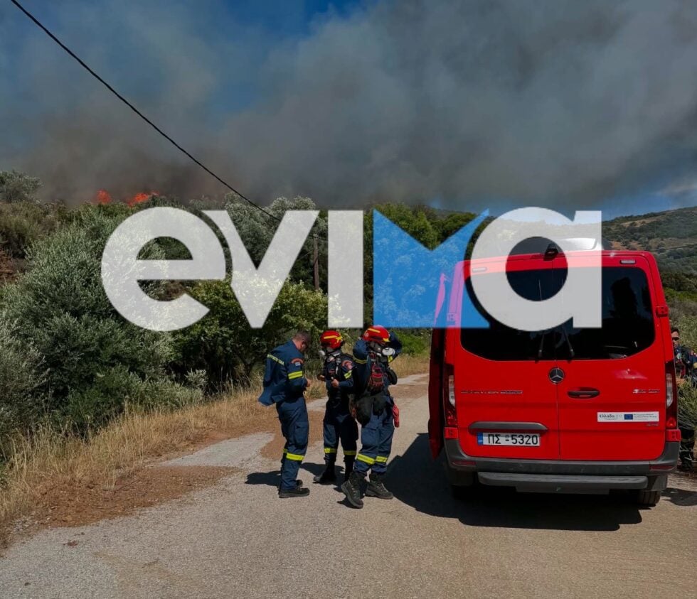 Μεγάλη φωτιά σε δάσος στην Εύβοια – Μήνυμα 112 για εκκένωση των κοντινών οικισμών