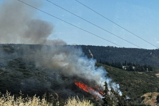 Τρεις συλλήψεις για την πυρκαγιά στο Φίλυρο Θεσσαλονίκης