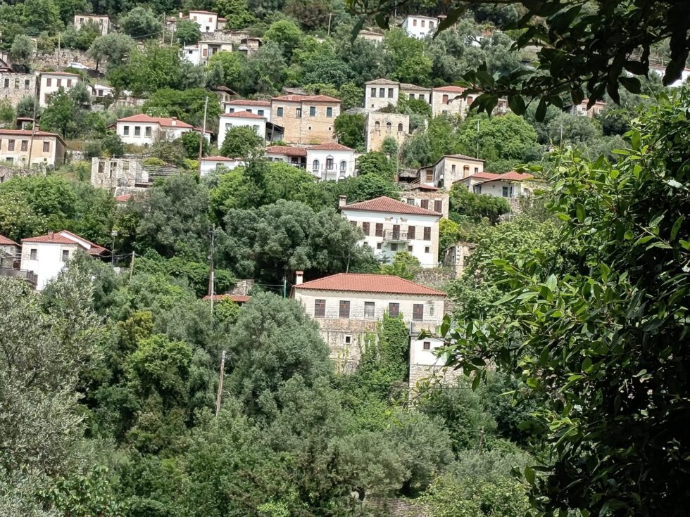 Φοινίκι Θεσπρωτίας: Αυτό είναι το ακριτικό χωριό που έγινε ζωντανό μνημείο πολιτισμού [εικόνες]