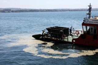 Σπαζοκεφαλιά για τους φορείς της Θεσσαλονίκης τα φυτοπλαγκτόν στον Θερμαϊκό