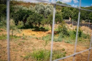 Γυναικοκτονία στα Χανιά: Δεμένη και φιμωμένη βρέθηκε η 45χρονη – Το βίντεο που πρόδωσε τον δράστη
