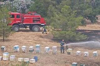Άλσος Βεΐκου: Από κάπνισμα μελισσών προκλήθηκε η φωτιά – Αναζητούνται οι μελισσοκόμοι [εικόνες – βίντεο]