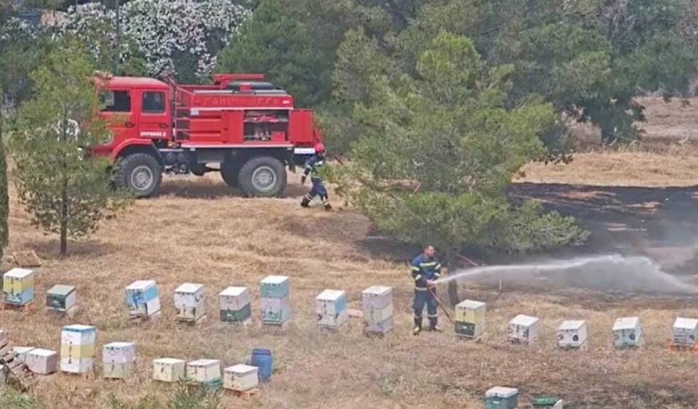 Φωτιά στο Άλσος Βεΐκου: Συνελήφθη ο μελισσοκόμος από τον οποίο ξεκίνησε η πυρκαγιά – Τσουχτερό το πρόστιμο