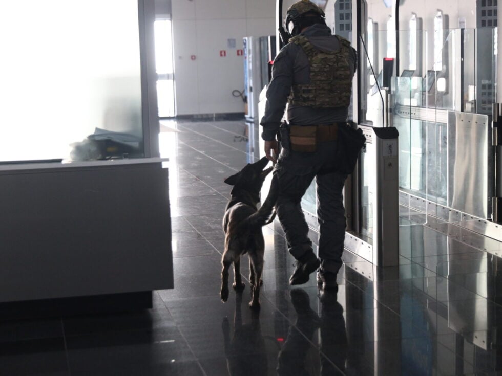 Επιχείρηση «ODIN»: Ομολόγησε ο 37χρονος ότι είναι μέλος της Χαμάς – Εκτιμήσεις για χτύπημα σε κρουαζιερόπλοιο