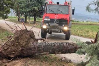 lamiareport.gr