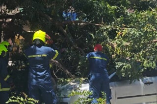 Ακραίοι άνεμοι στην Αττική: Δέντρο καταπλάκωσε όχημα με οδηγό στη Μιχαλακοπούλου [βίντεο]