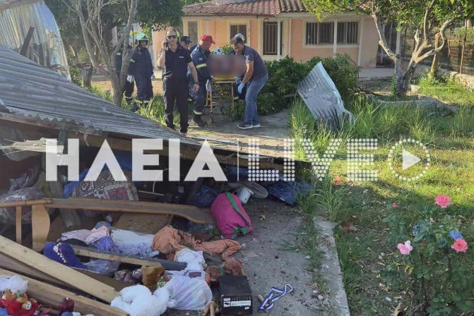 Ηλεία: Τρελή πορεία φορτηγού στα Λεχαινά – Εντομο τσίμπησε τον οδηγό και έπεσε πάνω σε αποθήκες [εικόνες]