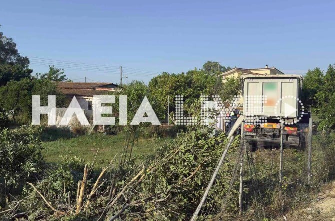 Ηλεία: Τρελή πορεία φορτηγού στα Λεχαινά – Εντομο τσίμπησε τον οδηγό και έπεσε πάνω σε αποθήκες [εικόνες]