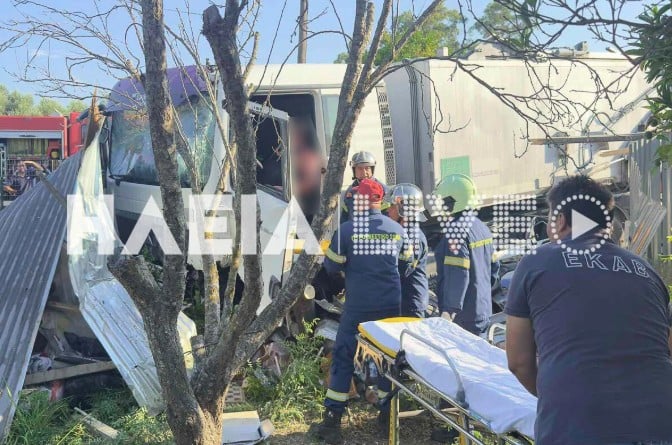 Ηλεία: Τρελή πορεία φορτηγού στα Λεχαινά – Εντομο τσίμπησε τον οδηγό και έπεσε πάνω σε αποθήκες [εικόνες]