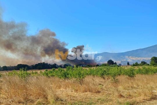 Θεσσαλονίκη: Φωτιά και στο Ωραιόκαστρο – Εστάλη μήνυμα από το 112