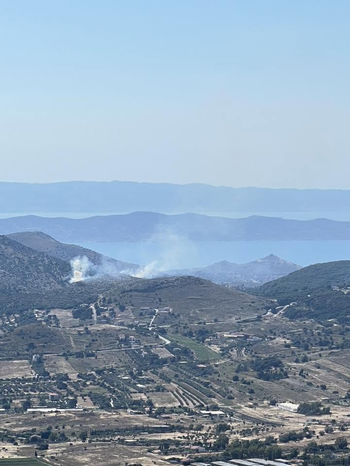Φωτιά στην Πλάκα Κερατέας: Καίει σε αγροτοδασική έκταση, σηκ