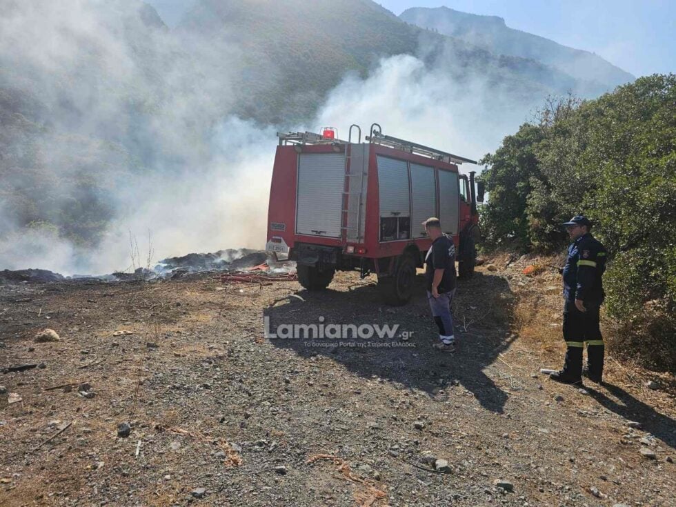 Φωτιά στον Ασπρόκαμπο Φθιώτιδας: Ισχυρές πυροσβεστικές δυνάμεις στο σημείο [βίντεο]