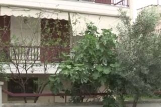 Το σπίτι που έγινε η γυναικοκτονία στη Δράμα / MEGA / Glomex