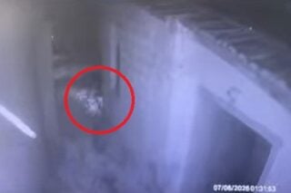 Η στιγμή που ο 55χρονος παρατάει τα γατάκια σε χωράφι στην Καλαμαριά Θεσσαλονίκης