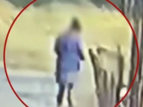 Η στιγμή που η 43χρονη γυναίκα βάζει φωτιά στην Κερατέα / ANT1 / Glomex