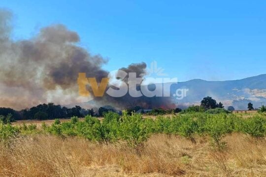 Φωτιά στη Μαριολάτα Φωκίδας: Σηκώθηκαν τρία εναέρια μέσα