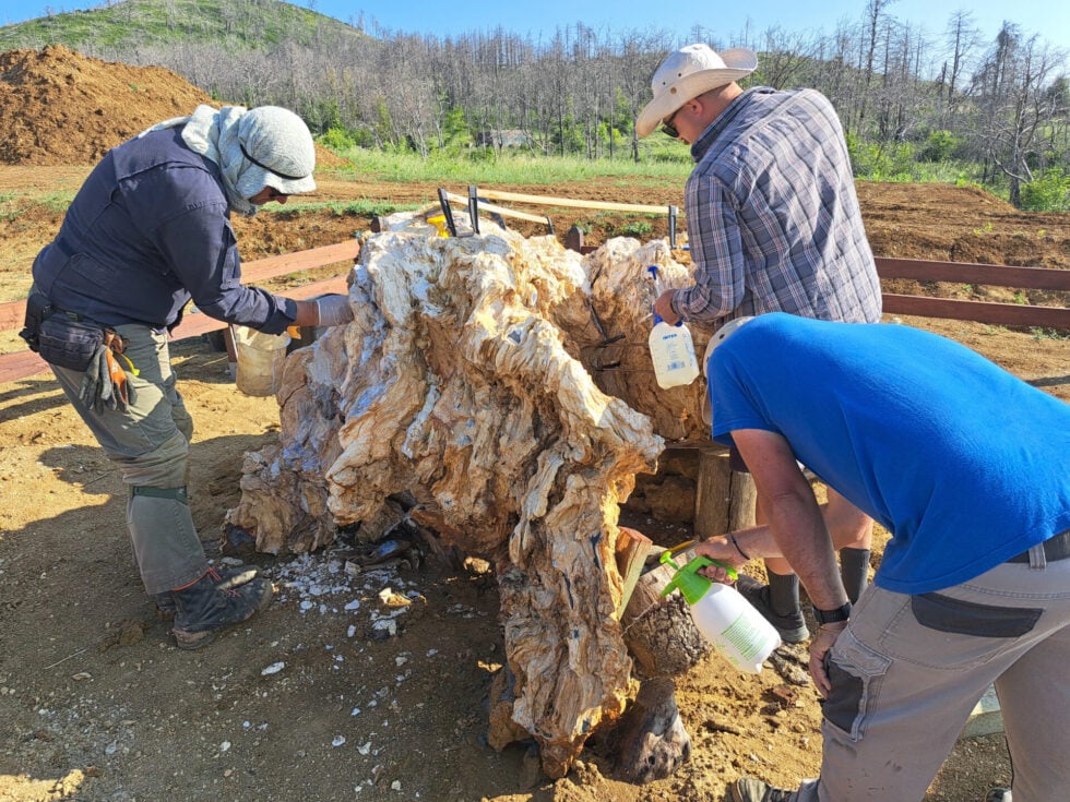 Το Απολιθωμένο Δάσος Κερασιάς στη Βόρεια Εύβοια: Ένα ραντεβού με τη φυσική ιστορία [εικόνες]