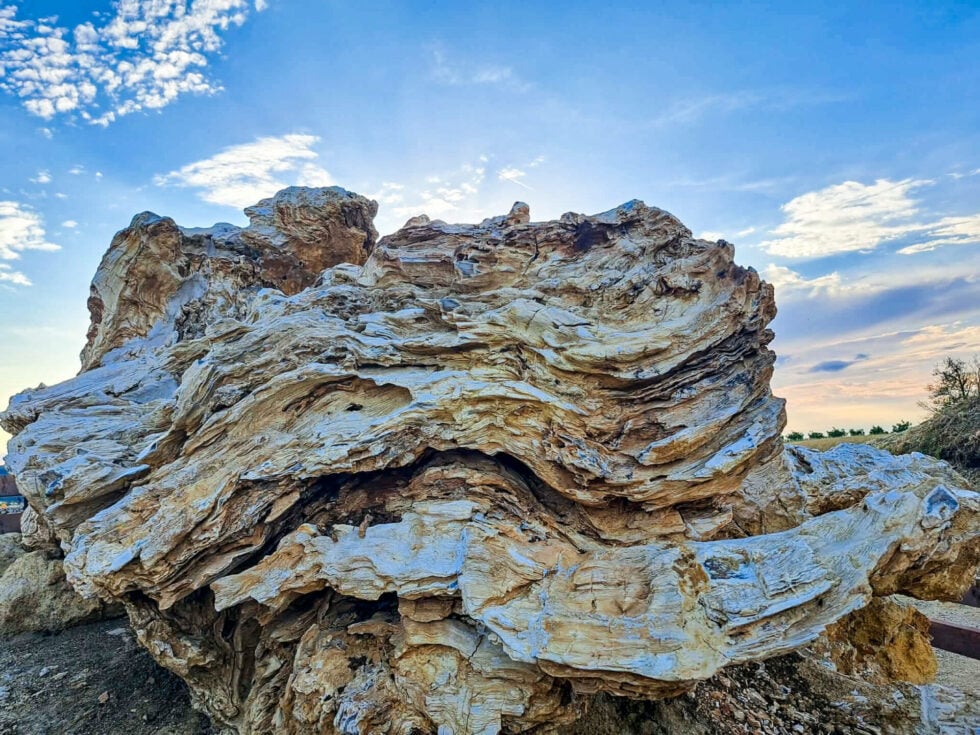 Το Απολιθωμένο Δάσος Κερασιάς στη Βόρεια Εύβοια: Ένα ραντεβού με τη φυσική ιστορία [εικόνες]