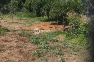 Δολοφονία Σταυρούλας Λεβεντάκη στα Χανιά: Έντονο καβγά επικαλείται ο δράστης – Τα σενάρια που εξετάζουν οι αρχές