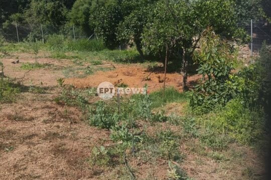 Δολοφονία Σταυρούλας Λεβεντάκη στα Χανιά: Έντονο καβγά επικαλείται ο δράστης – Τα σενάρια που εξετάζουν οι αρχές