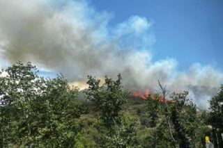 Θεσσαλονίκη: Οριοθετήθηκε η πυρκαγιά σε δασική έκταση του Φιλύρου