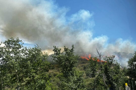 Θεσσαλονίκη: Οριοθετήθηκε η πυρκαγιά σε δασική έκταση του Φιλύρου