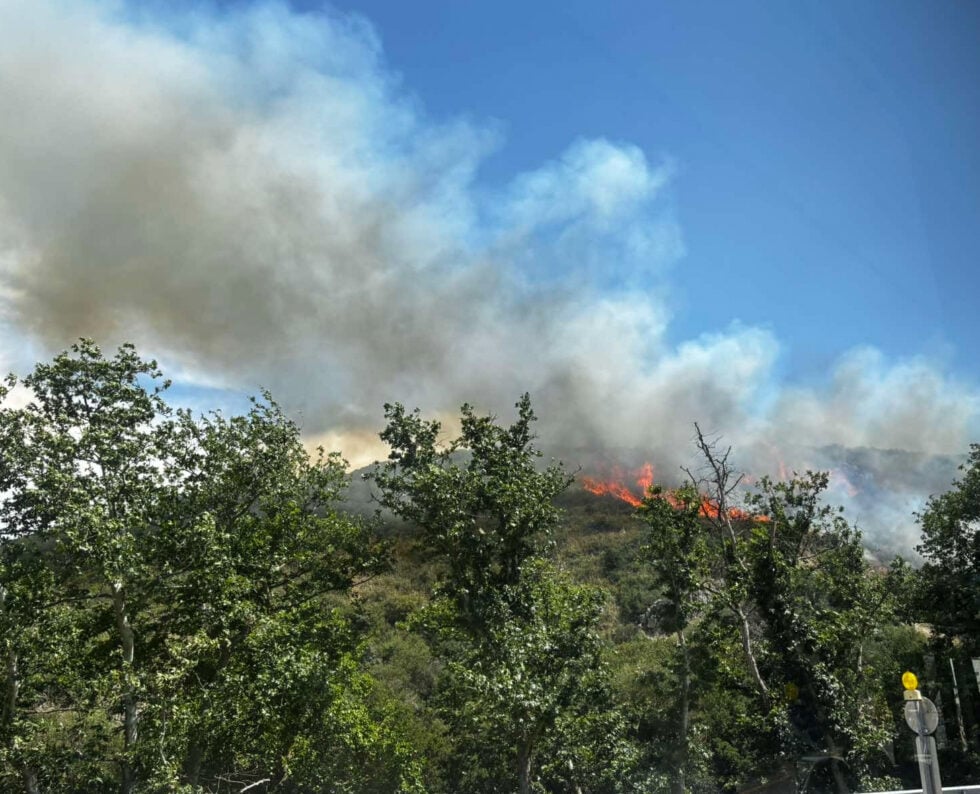 Θεσσαλονίκη: Οριοθετήθηκε η πυρκαγιά σε δασική έκταση του Φιλύρου