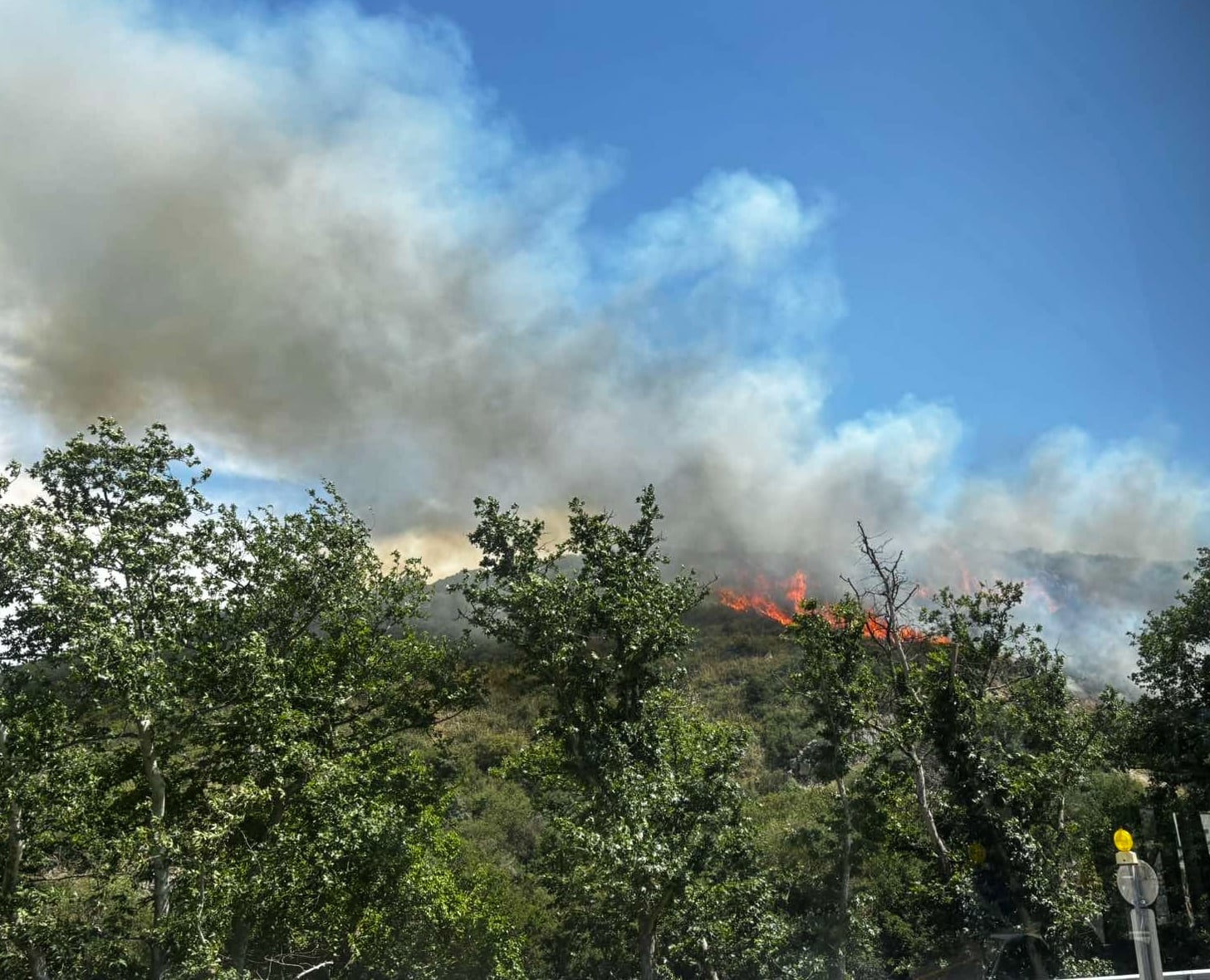 Θεσσαλονίκη: Οριοθετήθηκε η πυρκαγιά σε δασική έκταση του Φι
