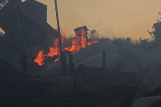 Φωτιά στη Βοιωτία: Σοβαρές καταστροφές σε κτηνοτροφική μονάδα και αγροτικές εκτάσεις – Δεκάδες νεκρά ζώα [βίντεο]