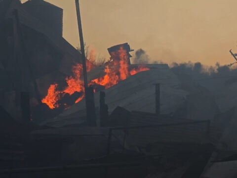 Φωτιά στη Βοιωτία: Σοβαρές καταστροφές σε κτηνοτροφική μονάδα και αγροτικές εκτάσεις – Δεκάδες νεκρά ζώα [βίντεο]