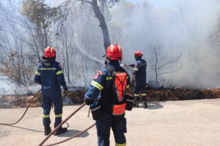 Πυροσβεστική: Συνελήφθη 43χρονη για εμπρησμό από πρόθεση κατ’ εξακολούθηση στην Κερατέα