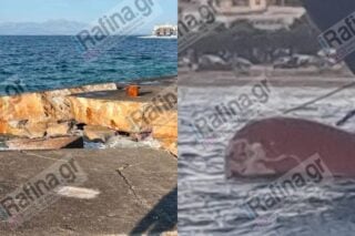 Ραφήνα: Δεν τραυματίστηκαν επιβάτες από τη σύγκρουση του πλοίου στον λιμενοβραχίονα – Νέες εικόνες και βίντεο