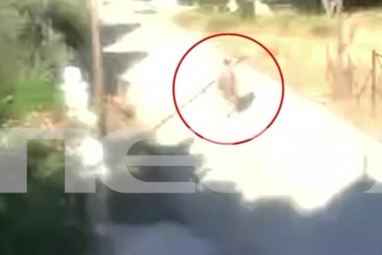 Η 57χρονη υποψήφια βουλεύτρια που έβαλε σε ξερά χόρτα στην Κορινθία / MEGA / Glomex
