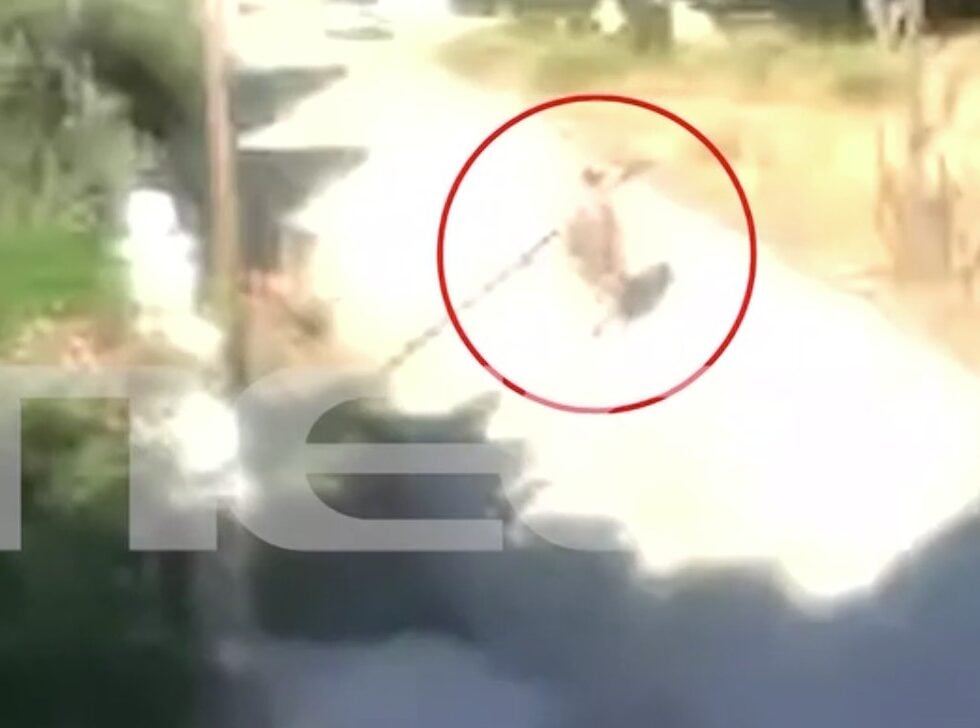 Η 57χρονη υποψήφια βουλεύτρια που έβαλε σε ξερά χόρτα στην Κορινθία / MEGA / Glomex