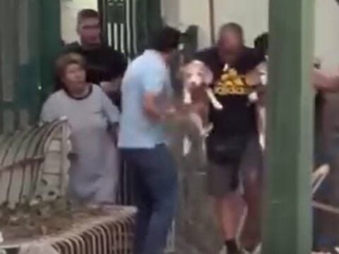 Σεισμός στη Βενεζουέλα: Η συγκινητική στιγμή που άνδρας σώζει τα δύο σκυλάκια του [βίντεο]