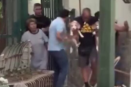 Σεισμός στη Βενεζουέλα: Η συγκινητική στιγμή που άνδρας σώζει τα δύο σκυλάκια του [βίντεο]