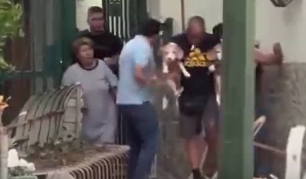 Σεισμός στη Βενεζουέλα: Η συγκινητική στιγμή που άνδρας σώζει τα δύο σκυλάκια του [βίντεο]