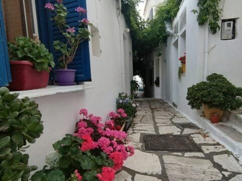 Το νησί των Κυκλάδων που μετατρέπεται σε εθνικό παράδειγμα βιώσιμης ανάπτυξης